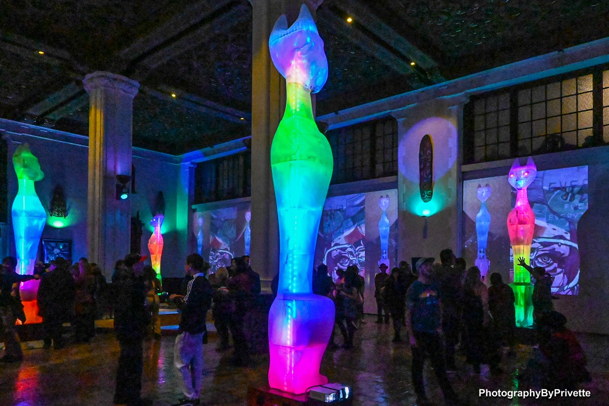 Institute of Crazyology, San Francisco, 2021 (photo: Herman Privette)